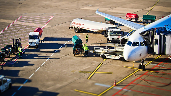 Hawaiian airlines deals pet shipping